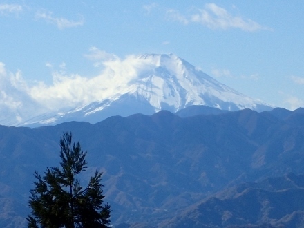 PB248835 (440x330).jpg