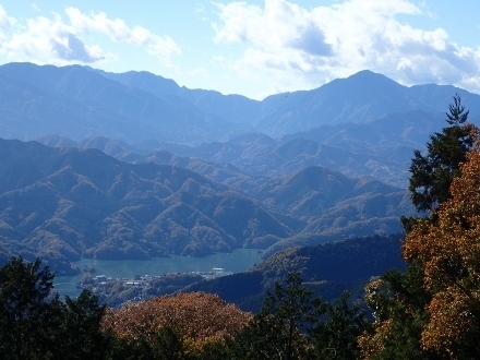 PB248840 (440x330).jpg