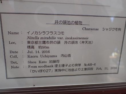 PB268930 (440x330).jpg