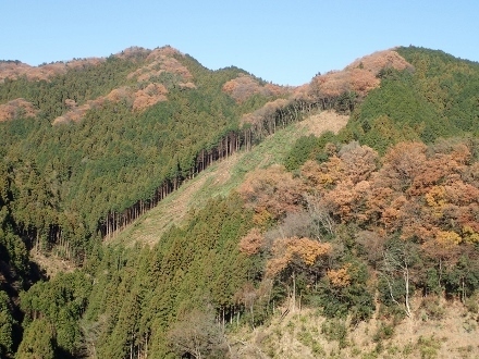 PC099289 (440x330).jpg