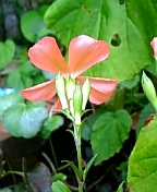 gs-08-07 010.jpg