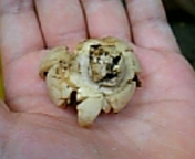 gs08-09 036.jpg