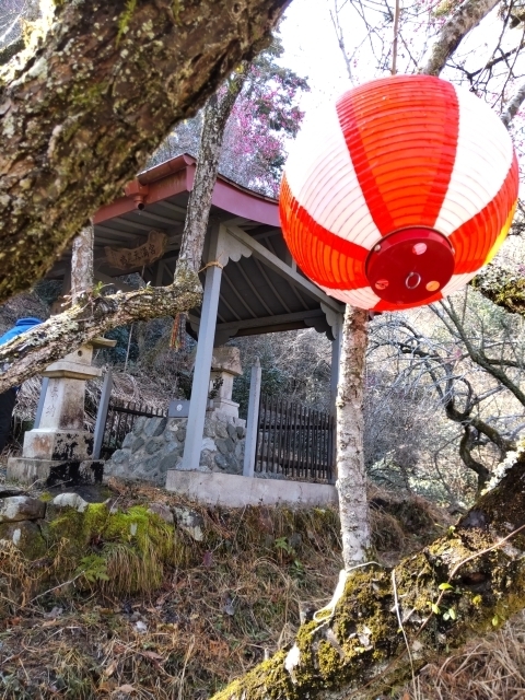 mDSC_2503 天神さま 梅まつり.JPG